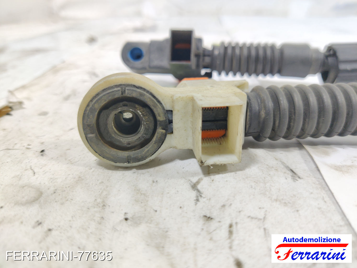 Funi Corde Cambio FORD FOCUS SW DNW 1.8 TURBO DI/TDDI 1999-2004 XS4R7E395HC