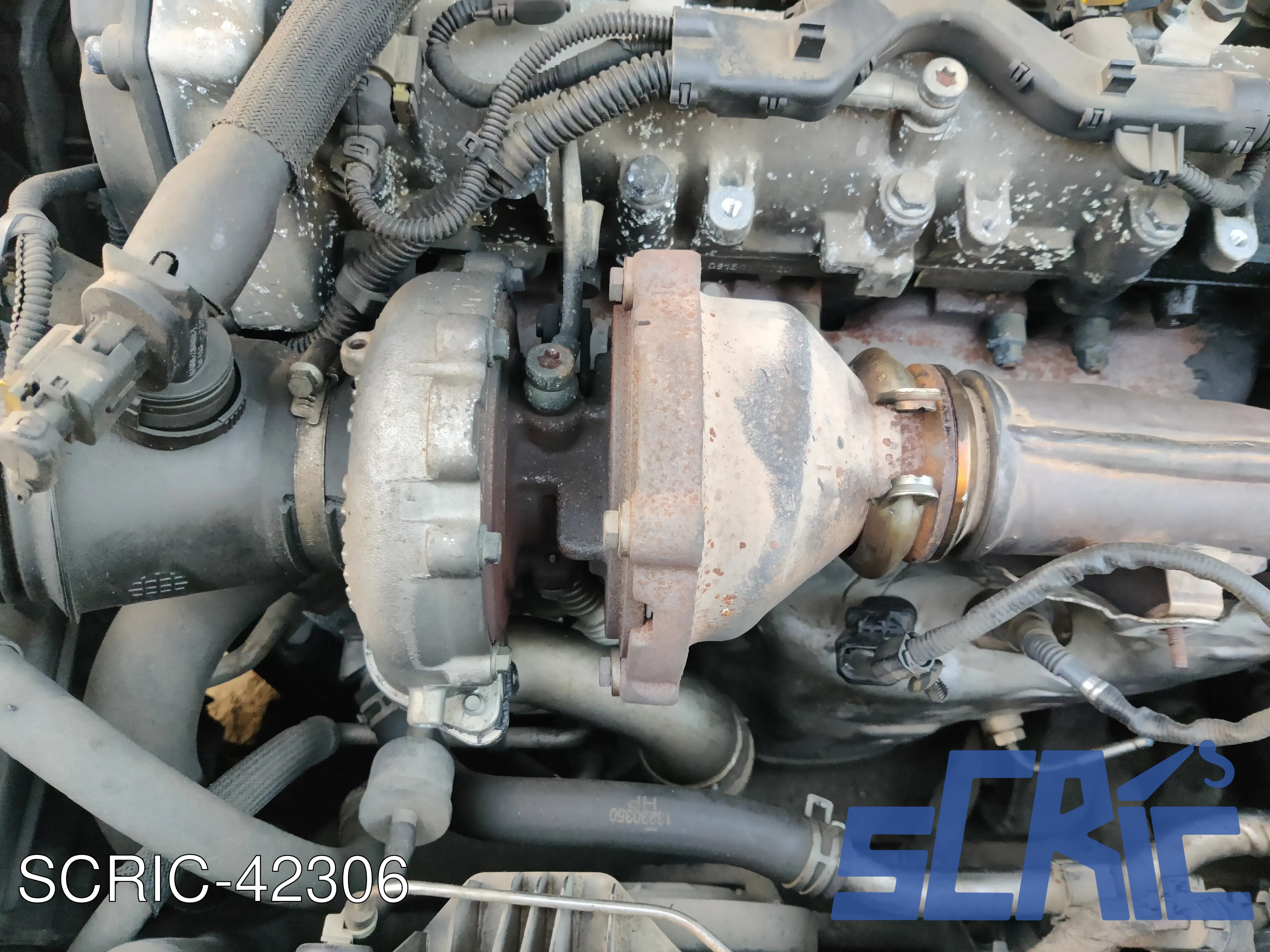 Turbina
