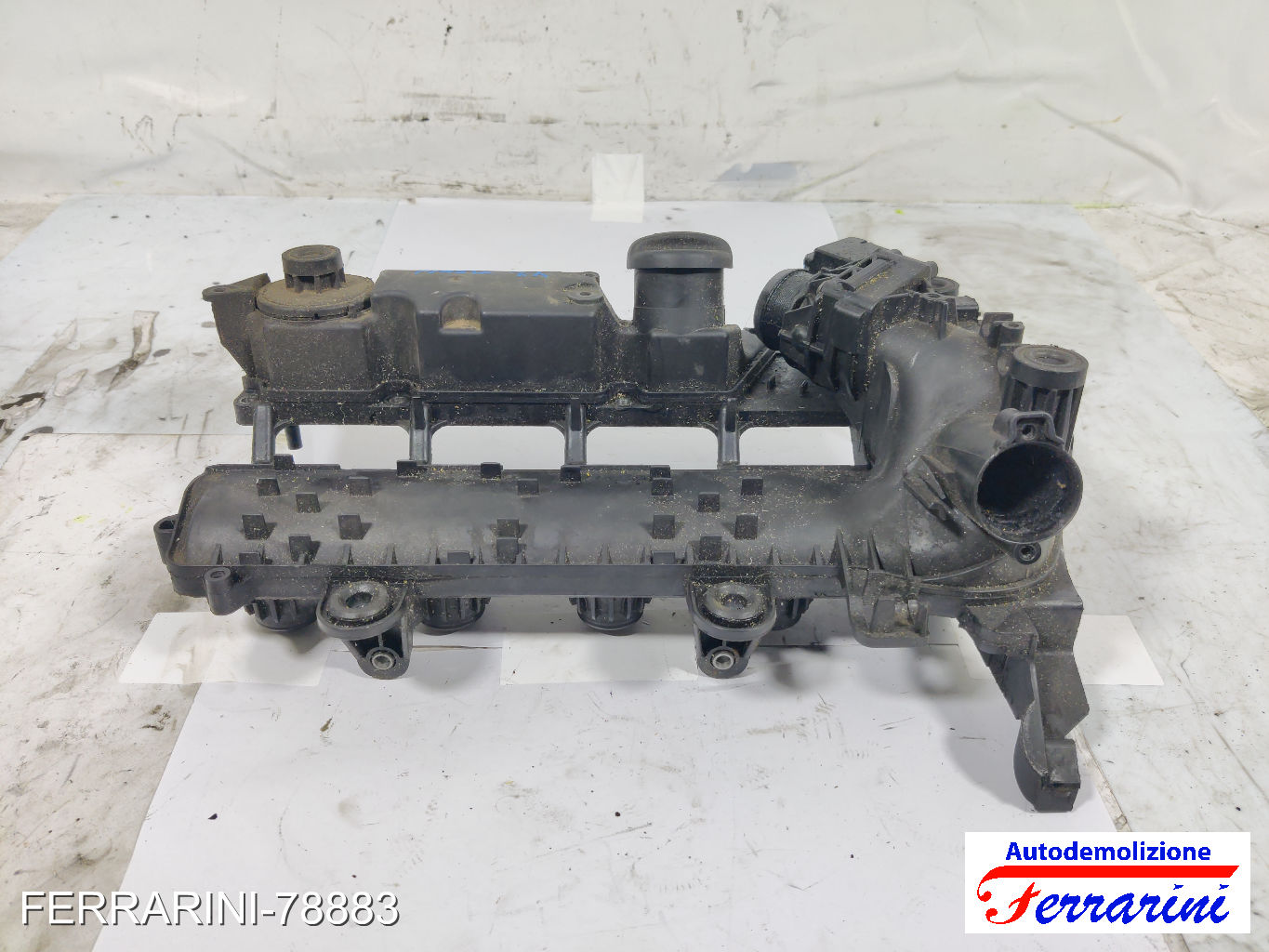 Coperchio Punterie Valvole FORD FIESTA 5 JD, JH 1.4 TDCI 2001-2008 0361N4