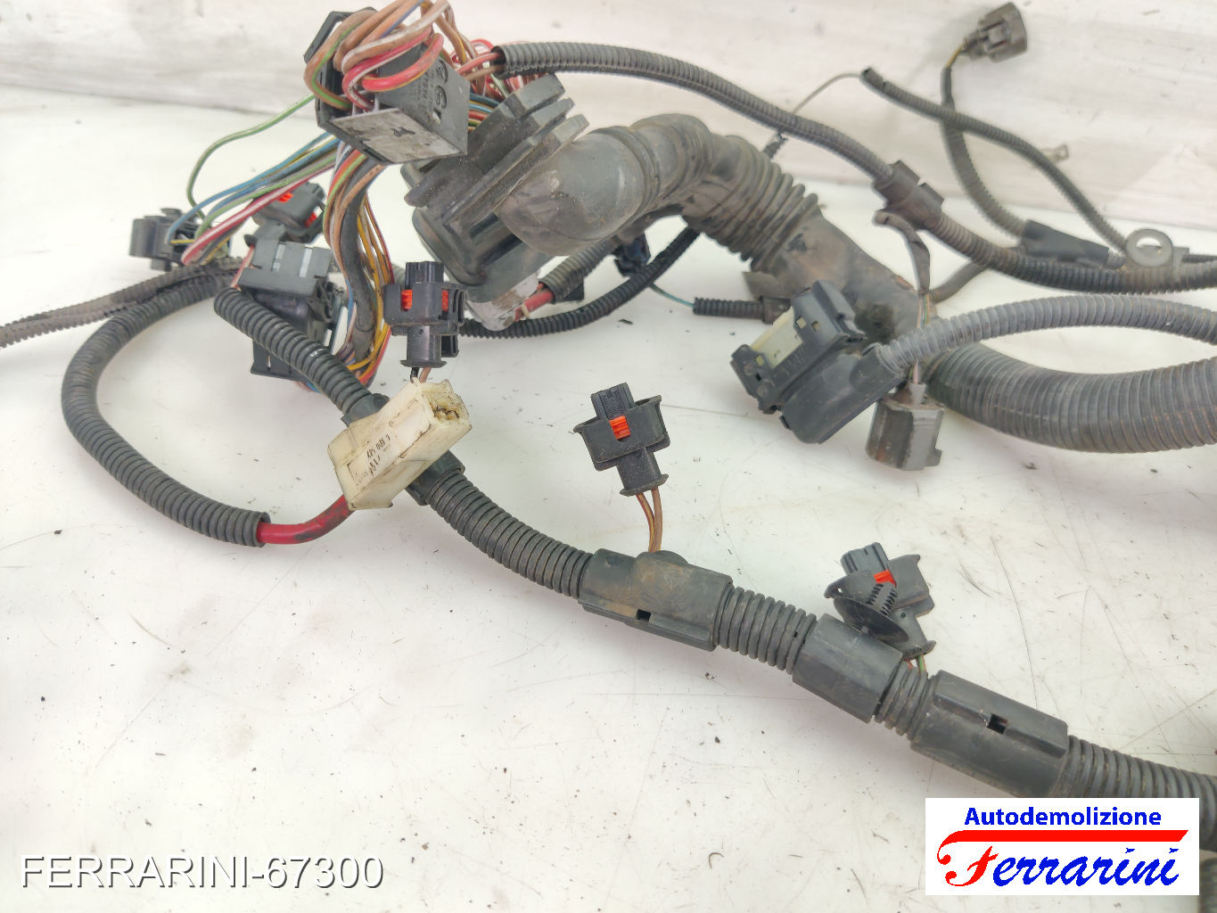 W10B16A Cablaggio Motore MINI - R50, R53 ONE 2001-2006 12517533100, 2861067810 12