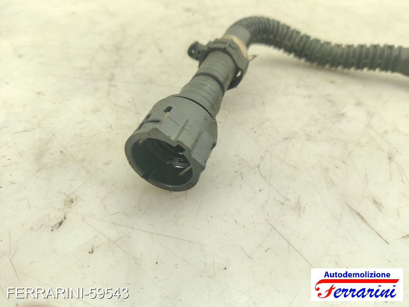 Altre Componenti Accessori Motore