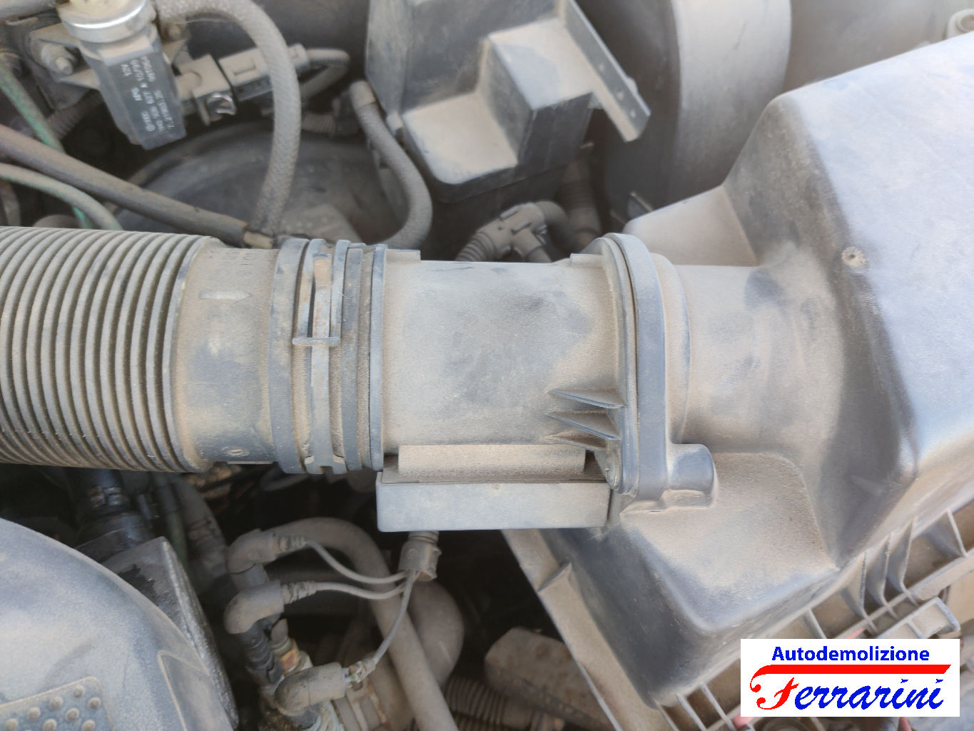 Audi A3 8L1 1.9 TDI 110CV 1997-2001