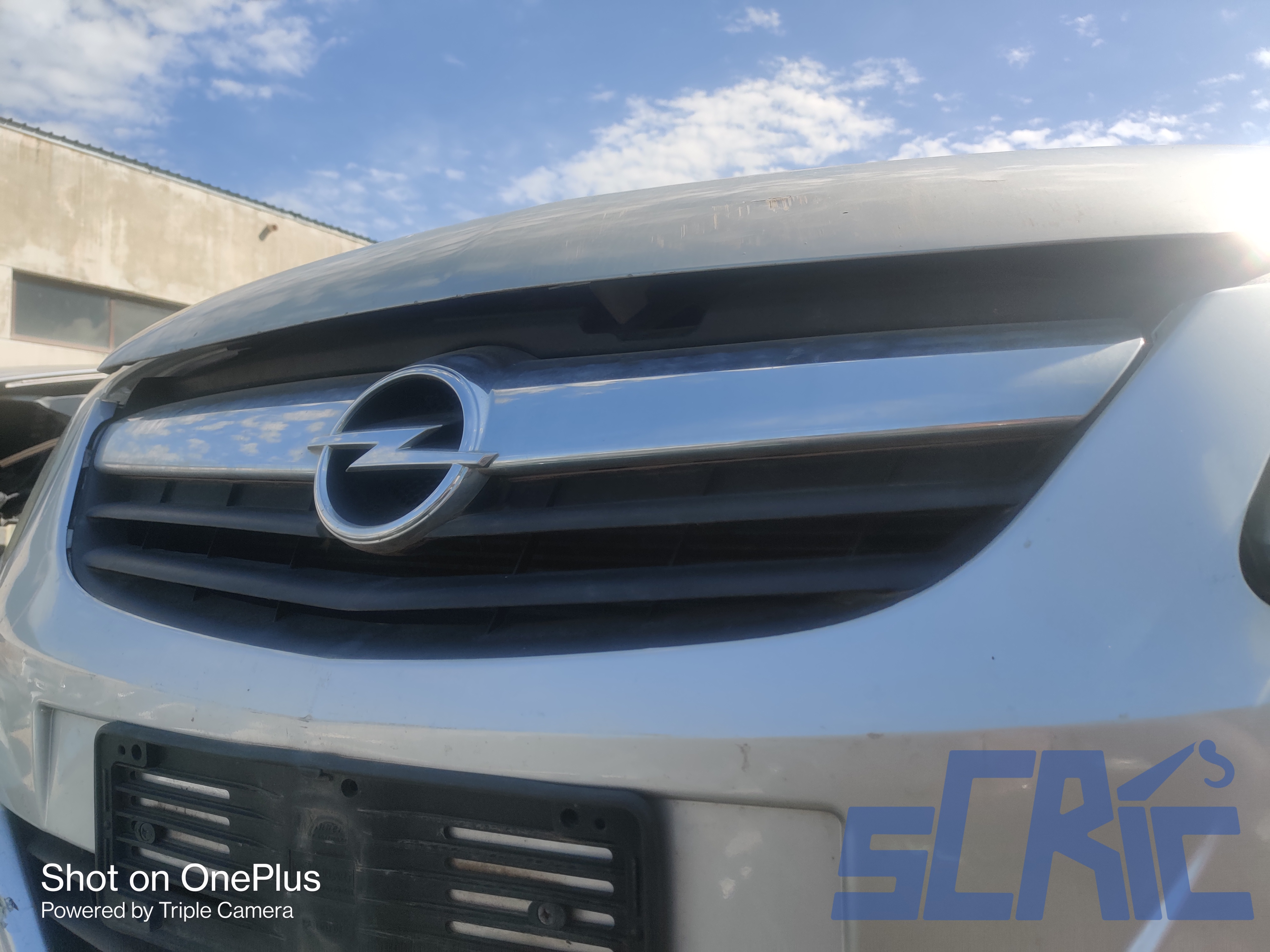 Griglia paraurti