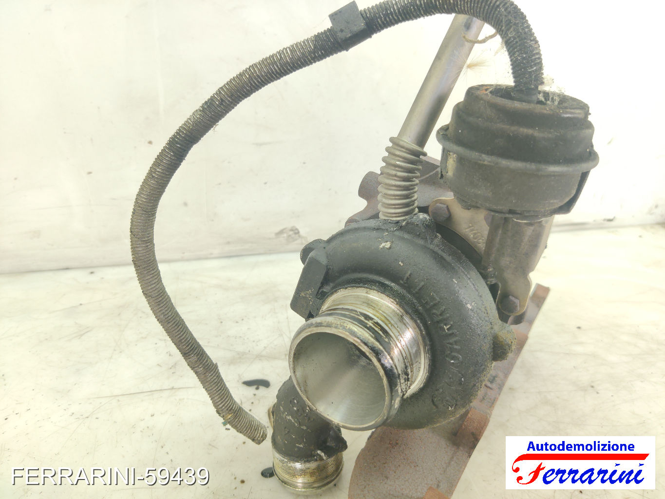 Turbina