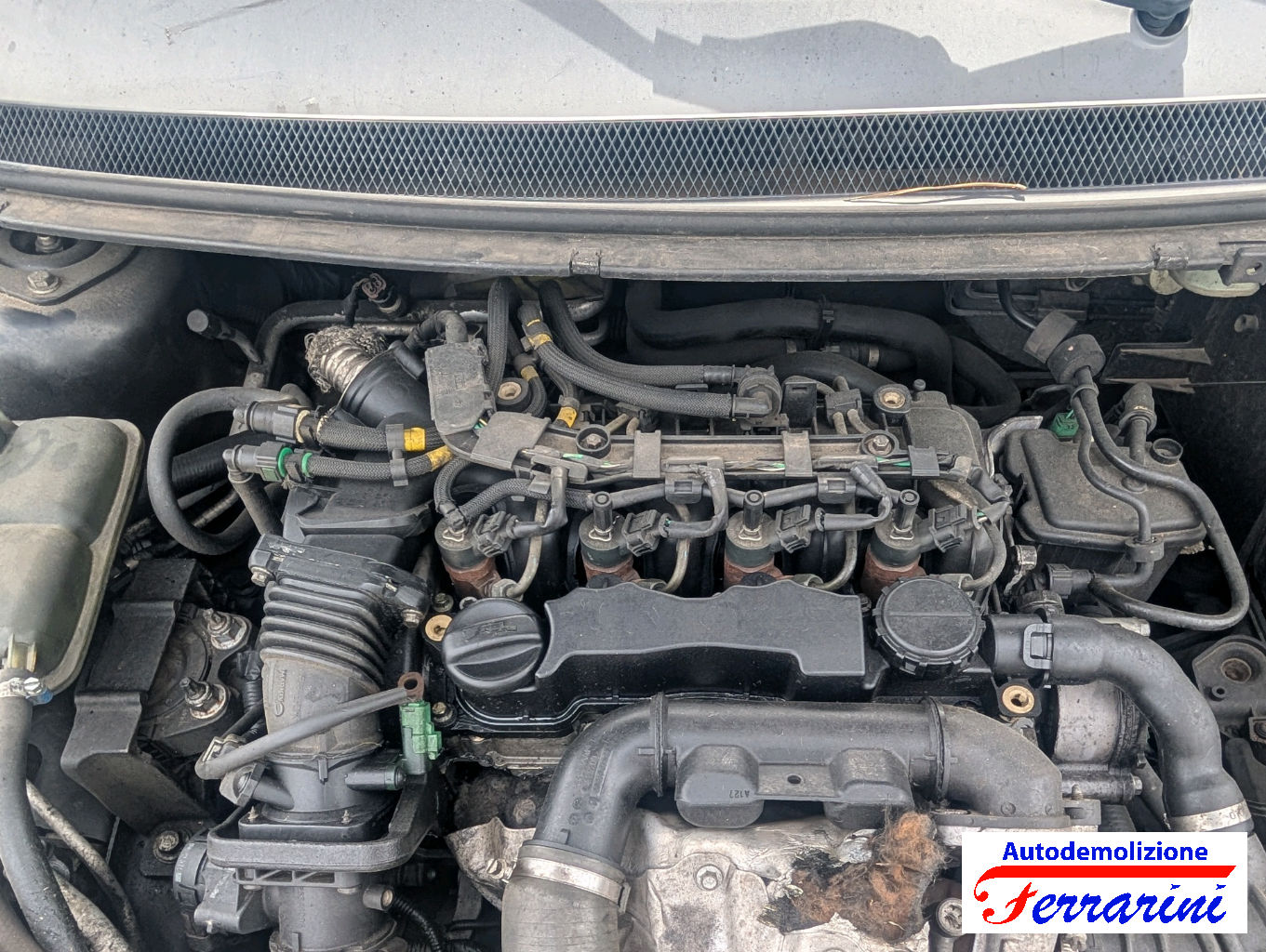 Ford Focus 2 DA, DP, HCP 1.6 TDCI 90CV 2005-2012