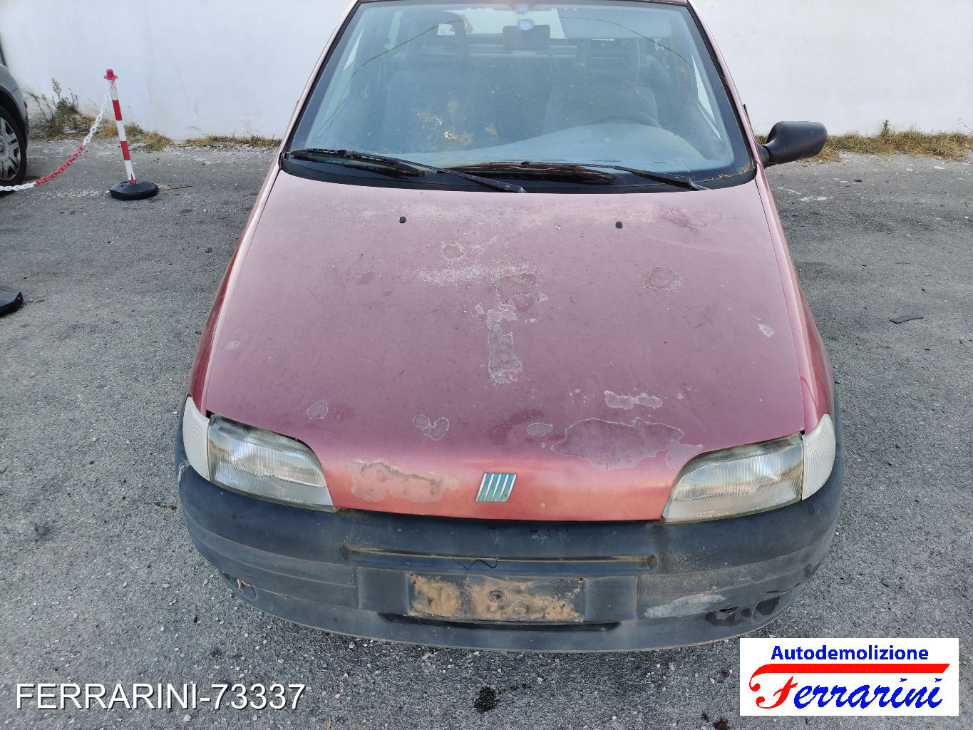 Fiat Punto 50