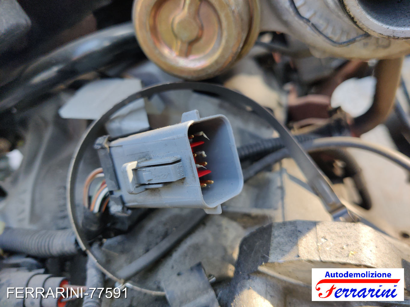 FORD FOCUS SW DNW 1.8 TURBO DI/TDDI 1999-2004 19