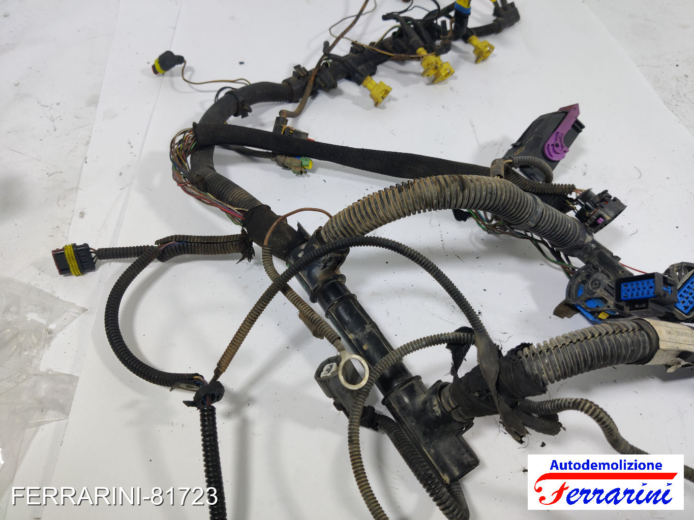 Cablaggio Motore LANCIA YPSILON 843 1.2 2003-2011