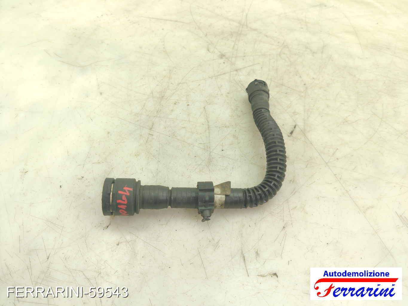 Altre Componenti Accessori Motore