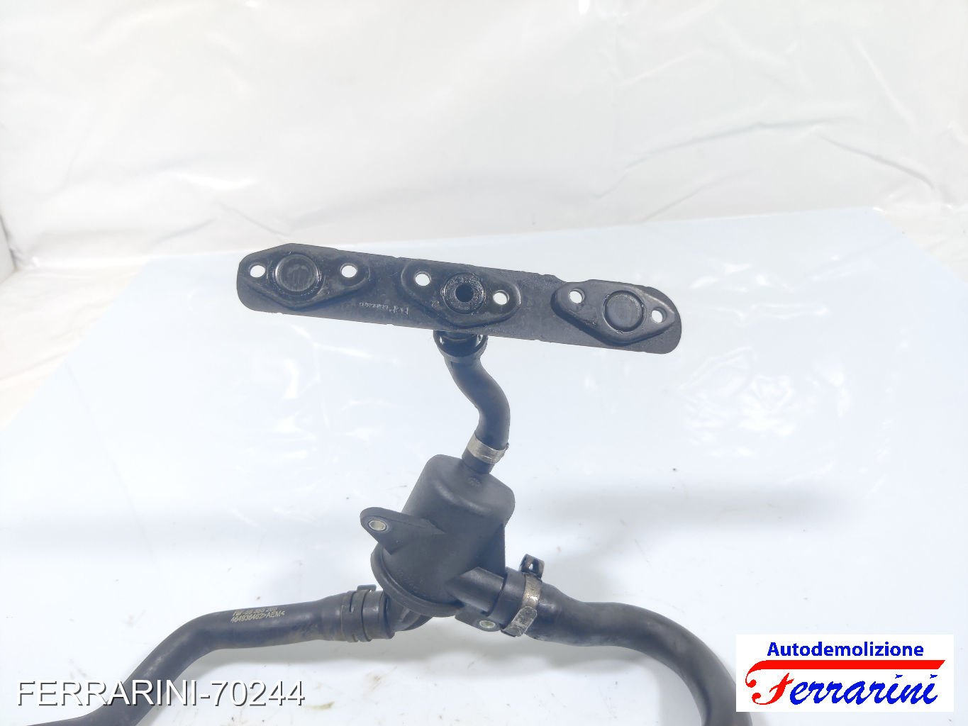 Pompa Acqua Motore Ausiliaria LANCIA YPSILON 843 1.3 JTD 2003-2011 55185372