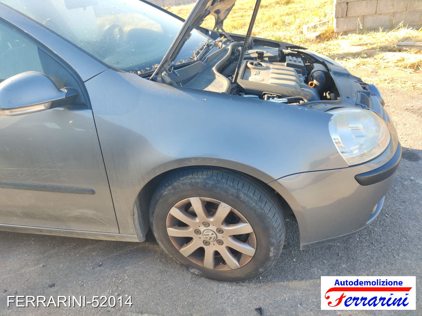 Vw Golf 5 1K1 1.9 TDI 105CV 2003-2008