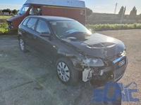 Audi A3 Sportback 8PA 1.9 TDI 105CV 2004-2010