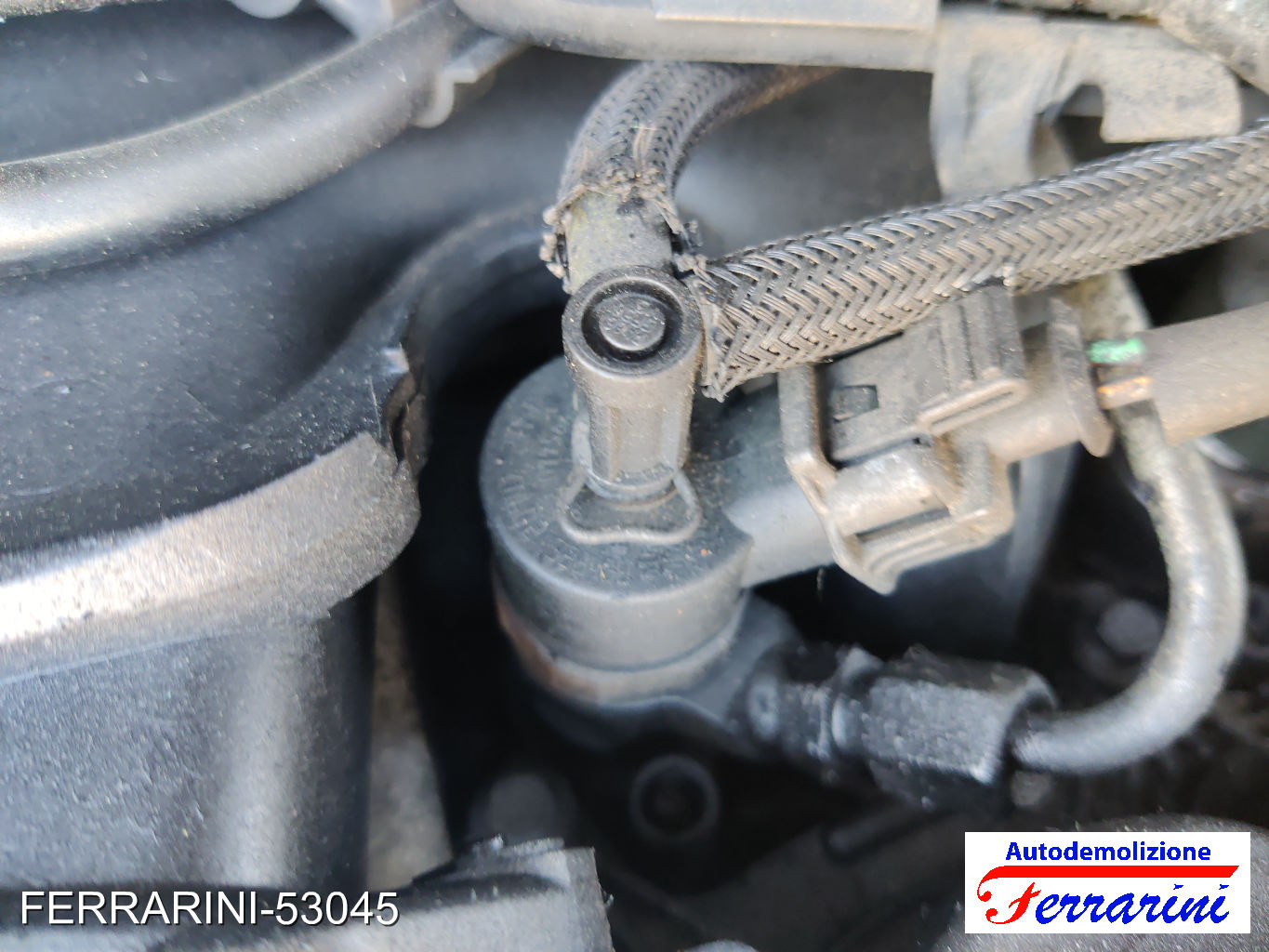 Ford C-Max DM2 1.6 TDCI 90CV 2007-2010