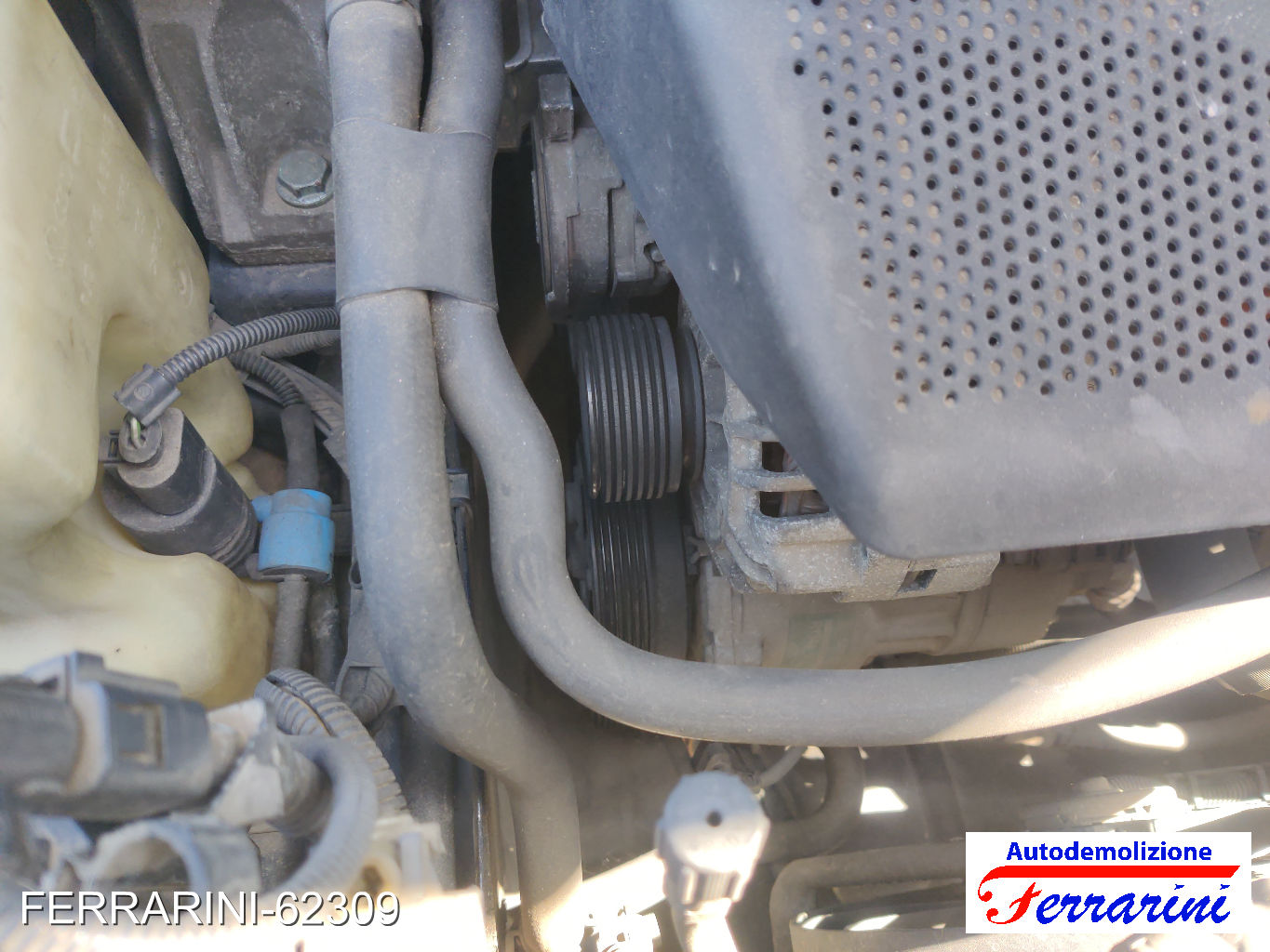 Vw Golf 4 1J1 1.6 100CV 1997-2004