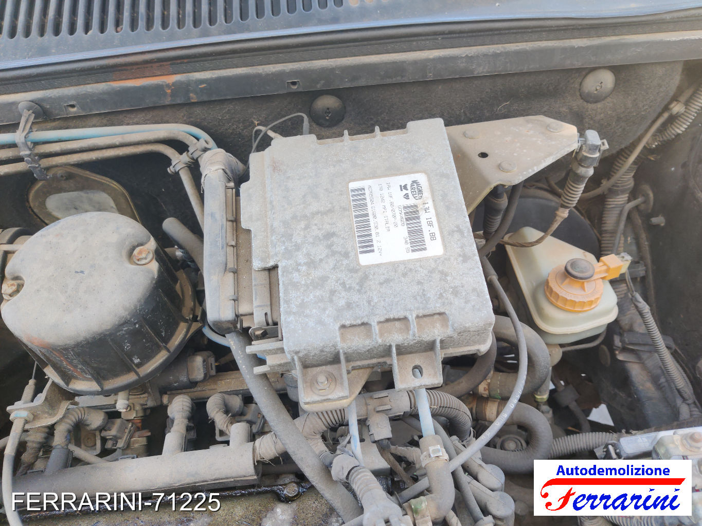Fiat Palio 36