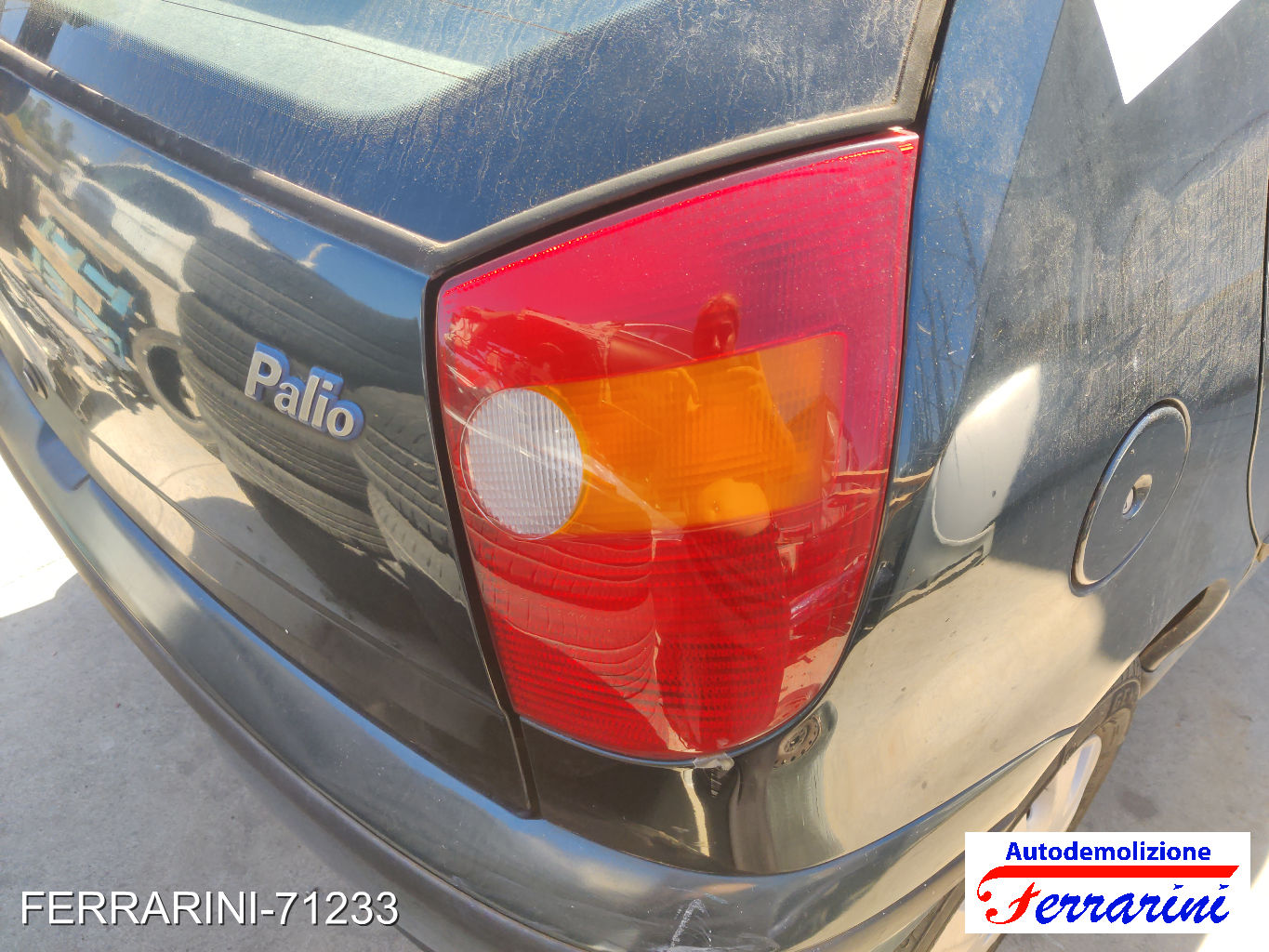 Fiat Palio 55