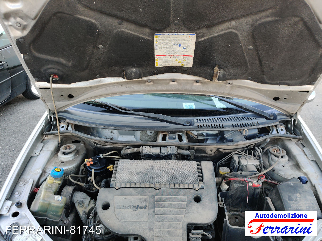 Fiat Punto 44