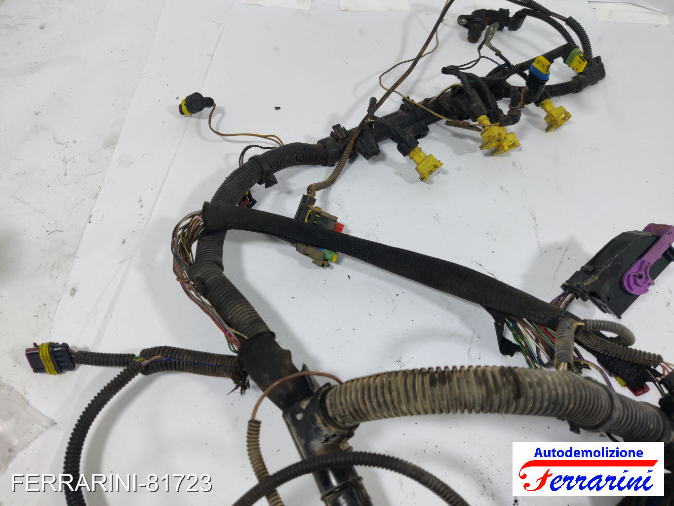 Cablaggio Motore LANCIA YPSILON 843 1.2 2003-2011 10