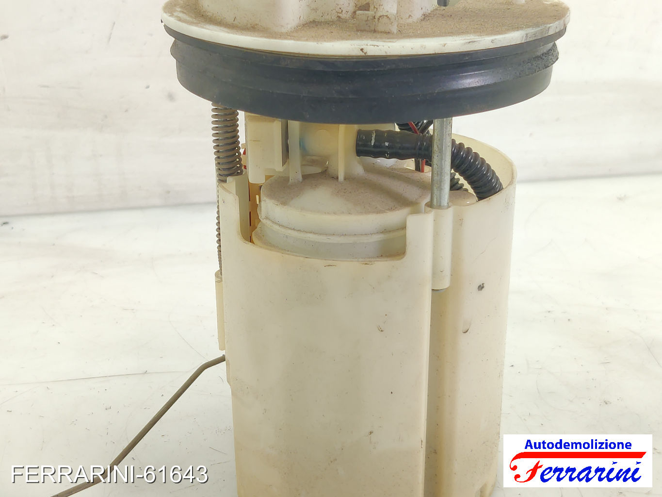 Cestello Pompa Galleggiante Serbatoio FORD FIESTA 6 1.25 2009-2023 2070055