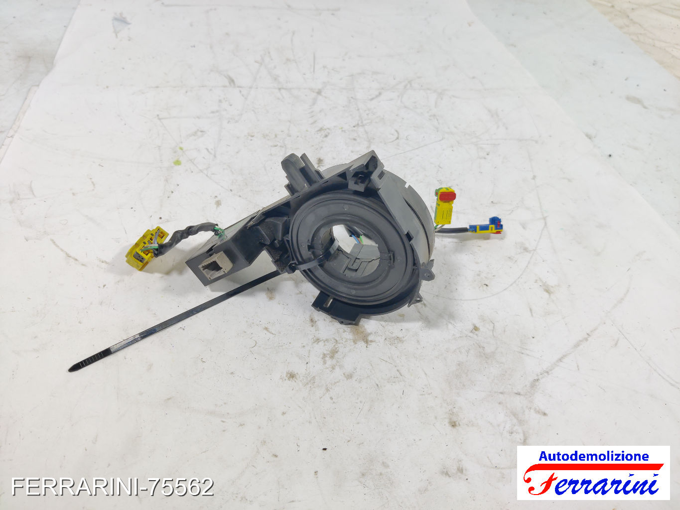 Spiralto Massa Strisciante RENAULT SCENIC 3 JZ0/1 2009-2023 255670019R