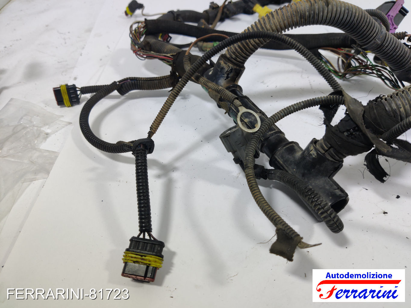 Cablaggio Motore LANCIA YPSILON 843 1.2 2003-2011 15