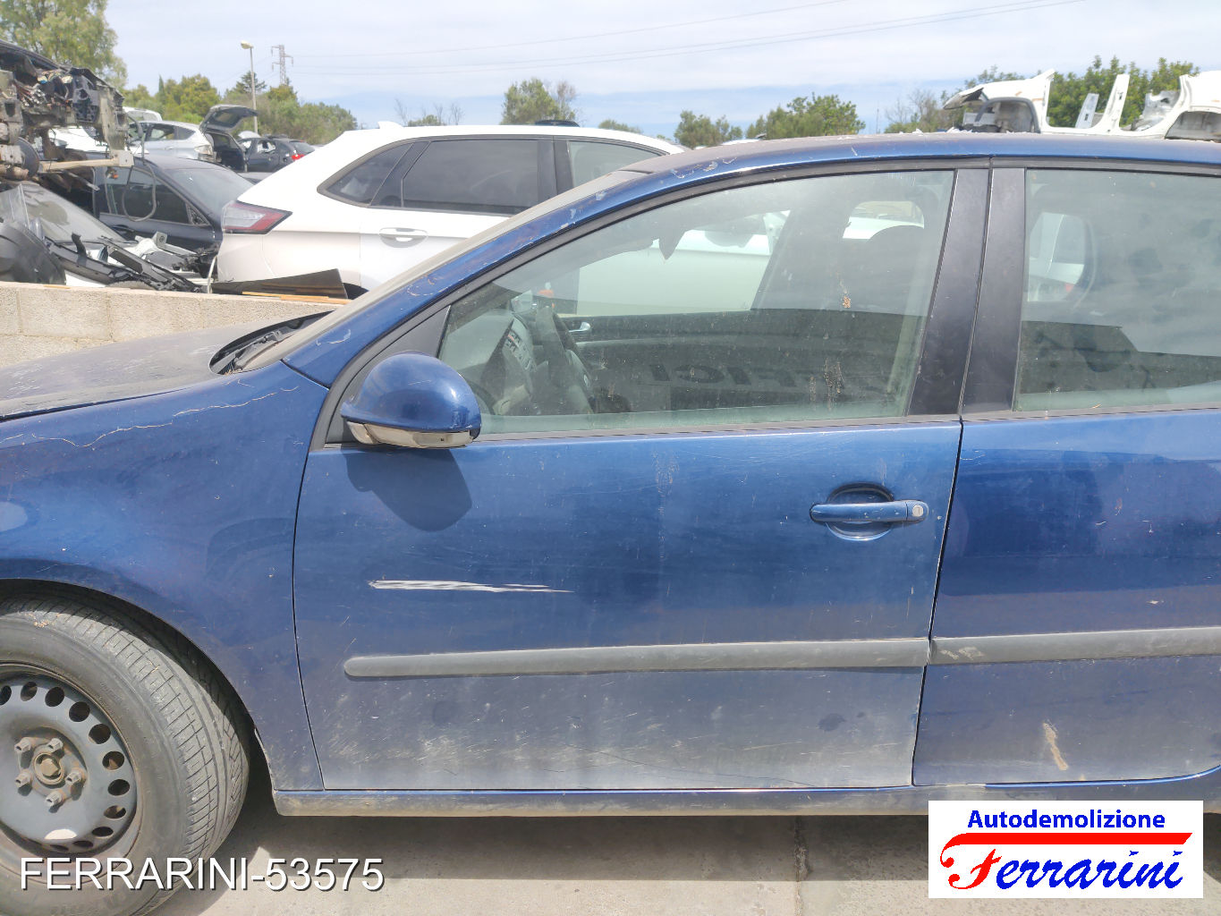 Vw Golf 5 1K1 1.9 TDI 105CV 2003-2008
