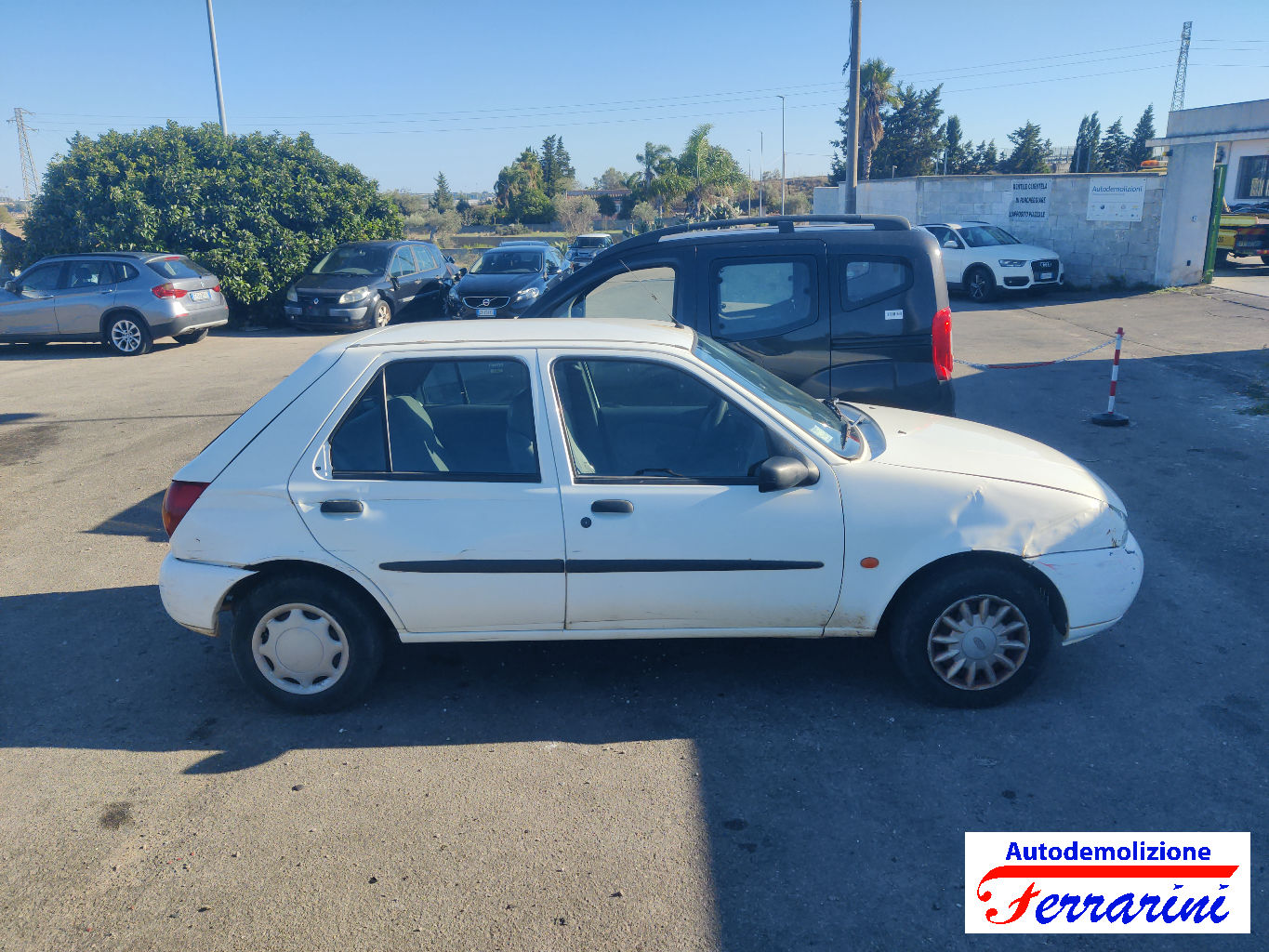 Ford Fiesta 4 66